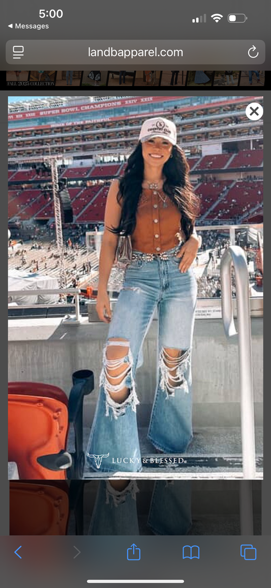 L and B Jeans with holes